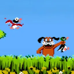 Duck Hunt